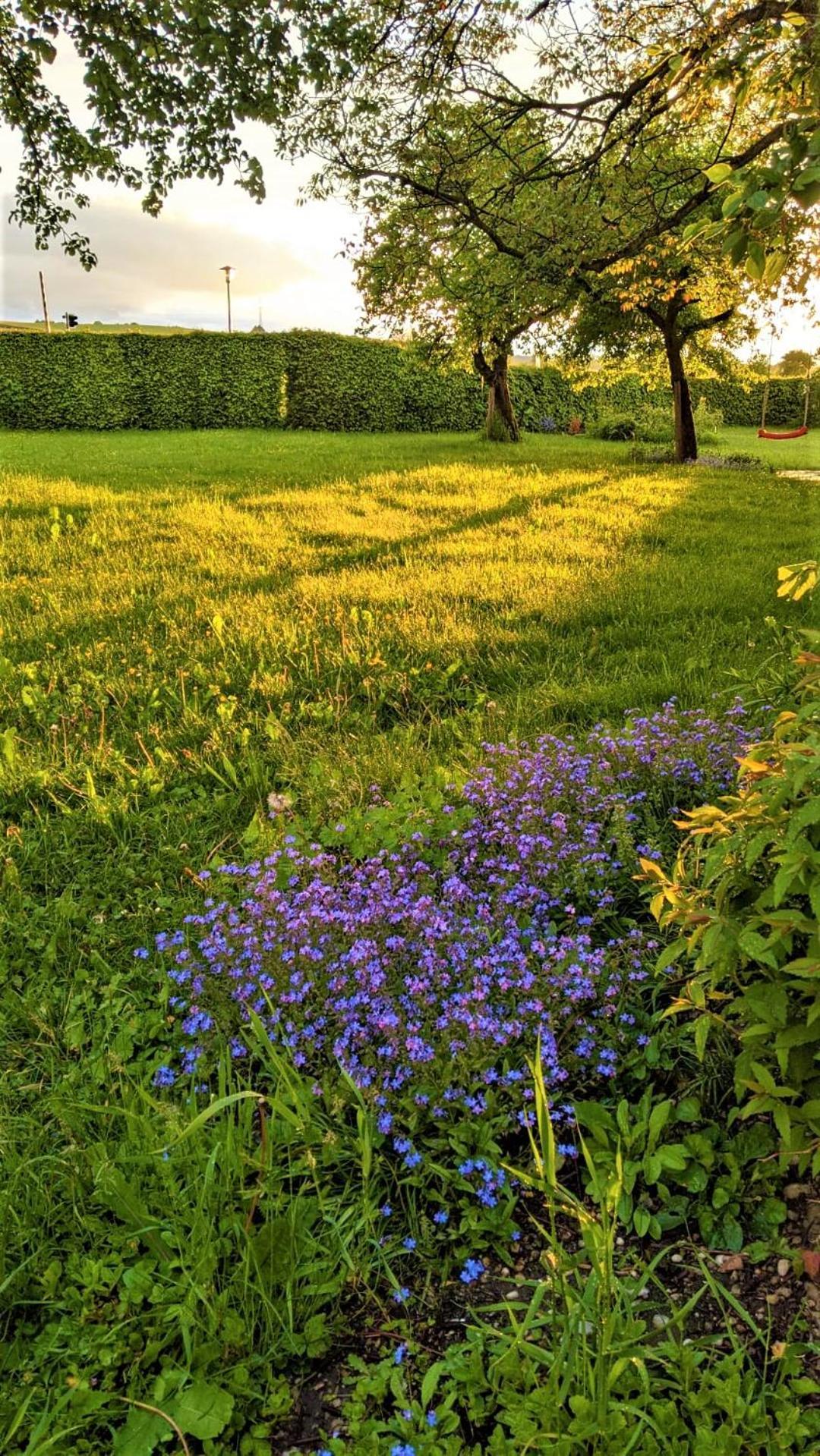 Pension Margaretenhof Bayerbach Bagian luar foto